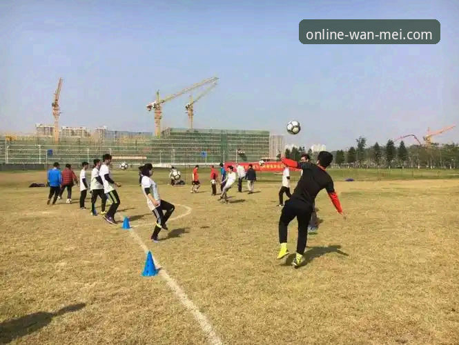 完美体育平台体验报告：3个版本对比与47.2MB安装包背后的技术逻辑